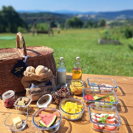 Barwald Hills - Piekny Widok Na Babia Gore I Beskidy Wadowice Esterno foto
